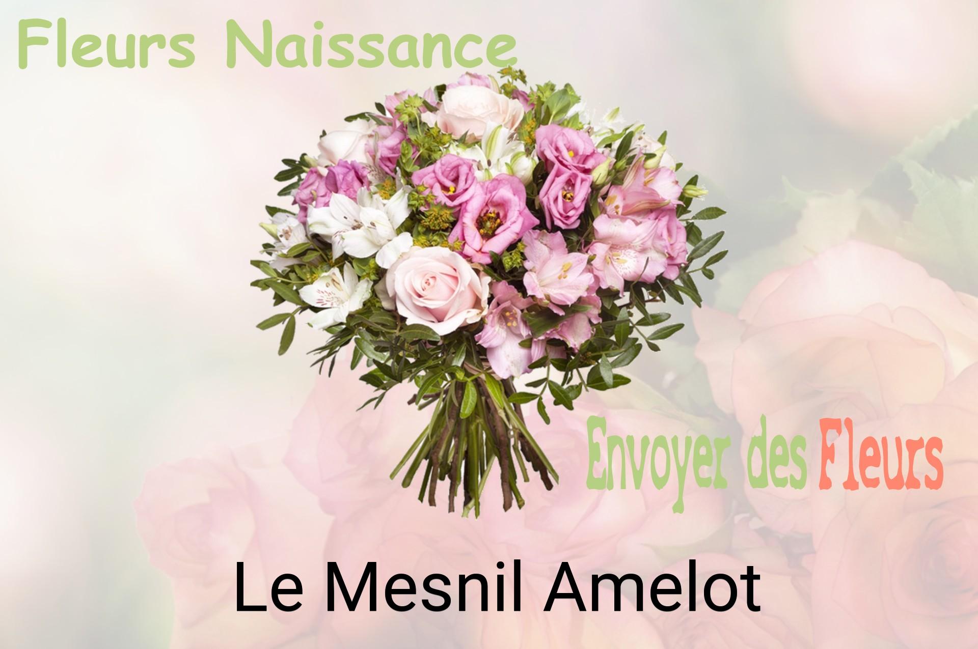Bouquet de fleurs de naissance livré à Le Mesnil-Amelot